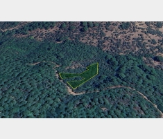 Bayındır Sarıyurt'ta 2.000 m2 Satılık Zeytinl... Bayındır Sarıyurt'ta 2.000 m2 Satılık Zeytinl...
